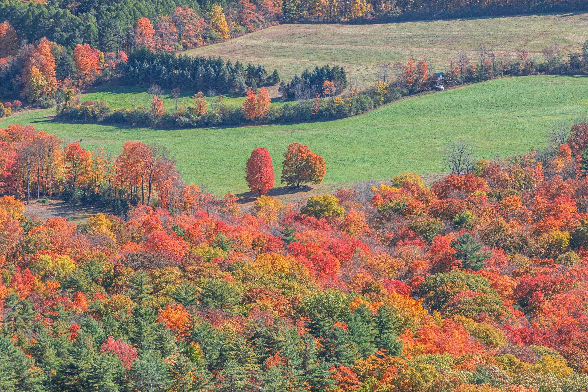 Autumn Valley