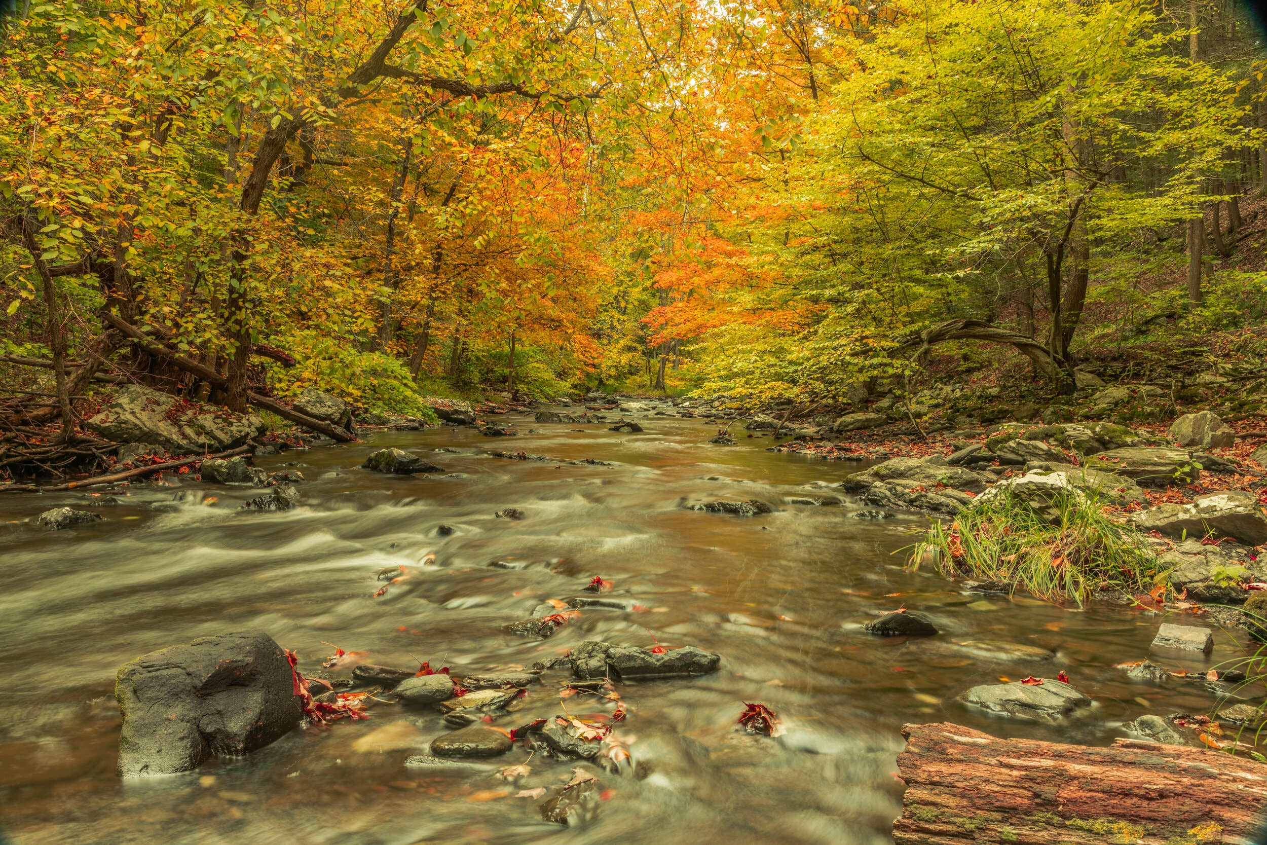 Fall Stream