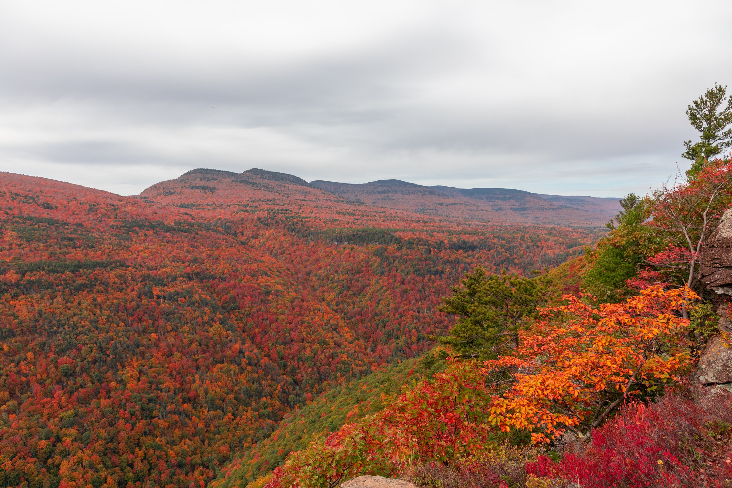 Huckleberry Point
