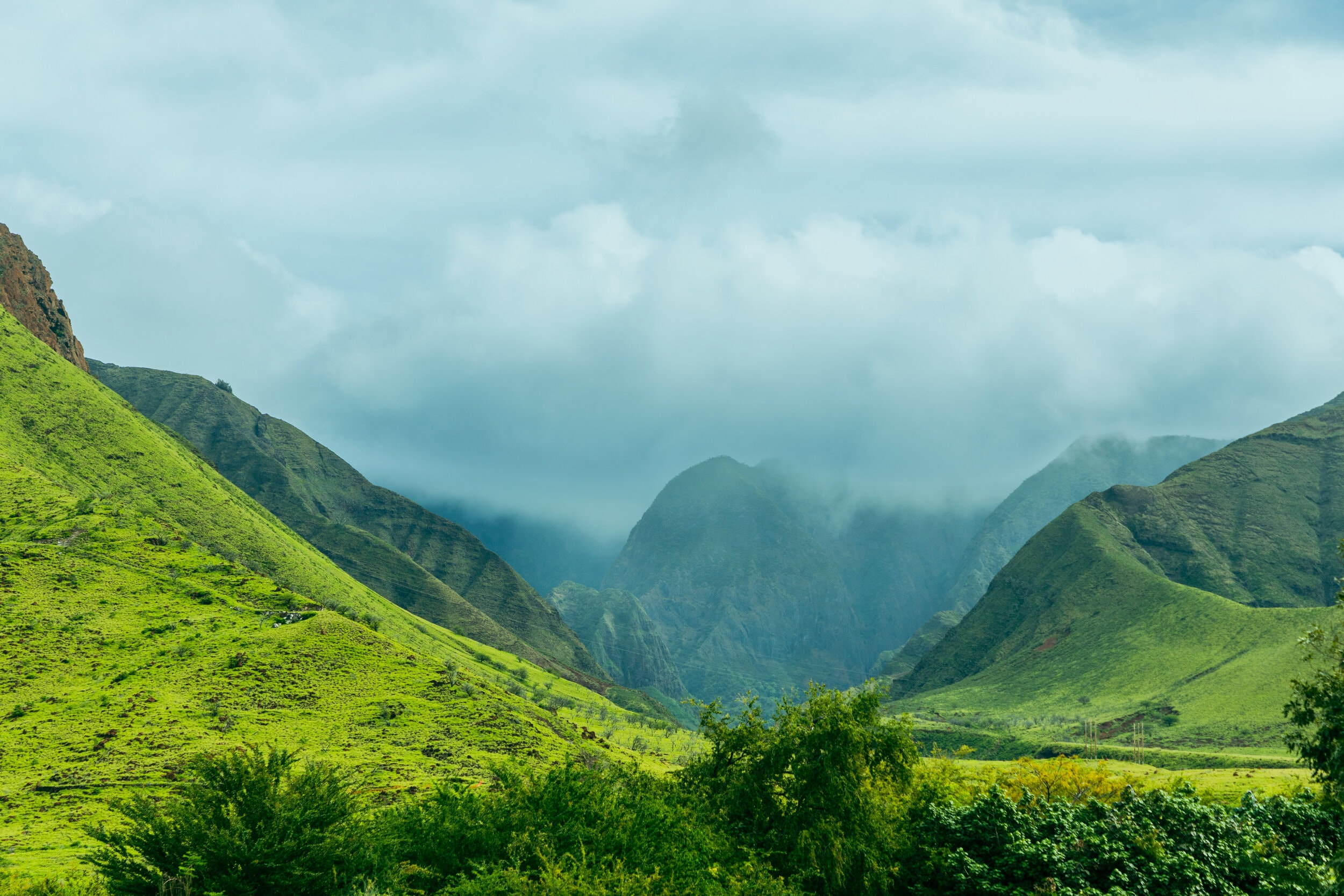 Maui Valley