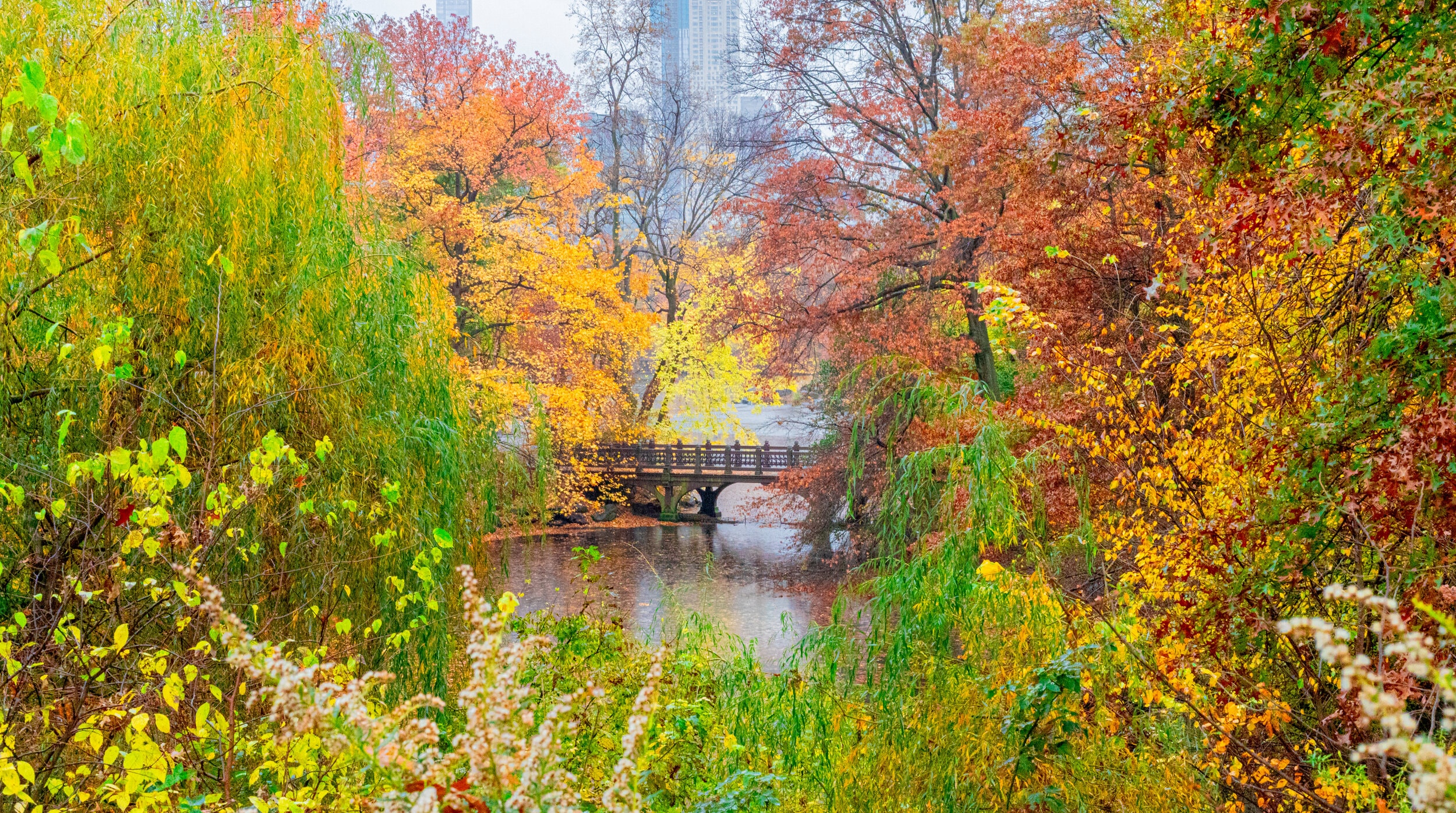 Central Park in Autumn