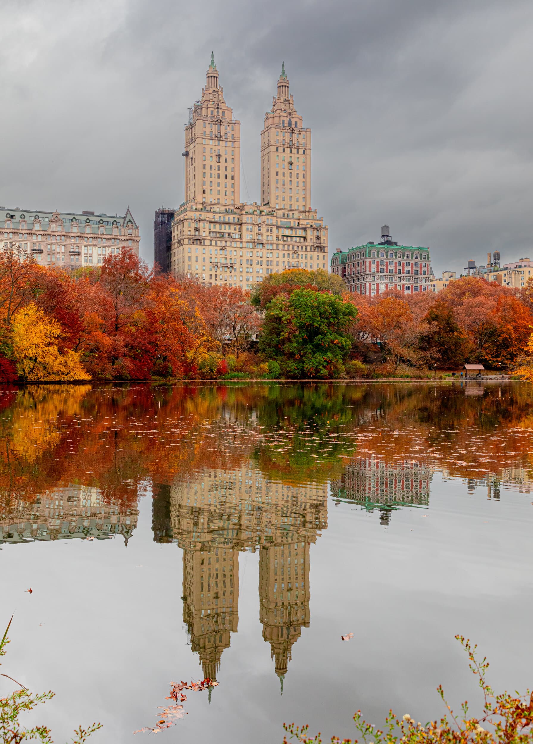 Central Park San Remo Reflection